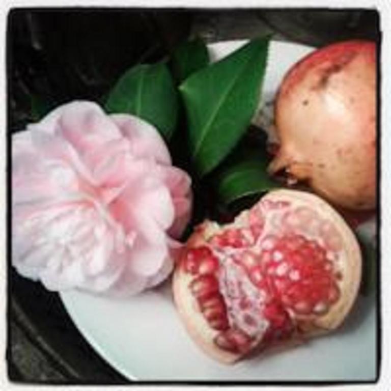 Giardino Della Melagrana Bed & Breakfast ฟลอเรนซ์ ภายนอก รูปภาพ